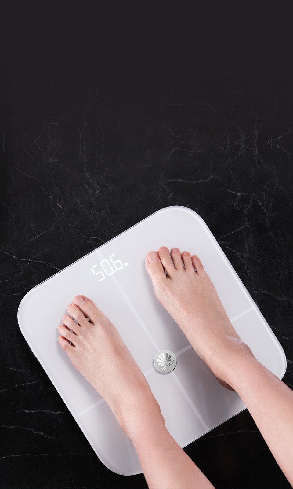 Offlineanzeige von Körpergewicht und -fettanteil
