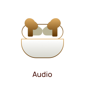   Audio HUAWEI Store